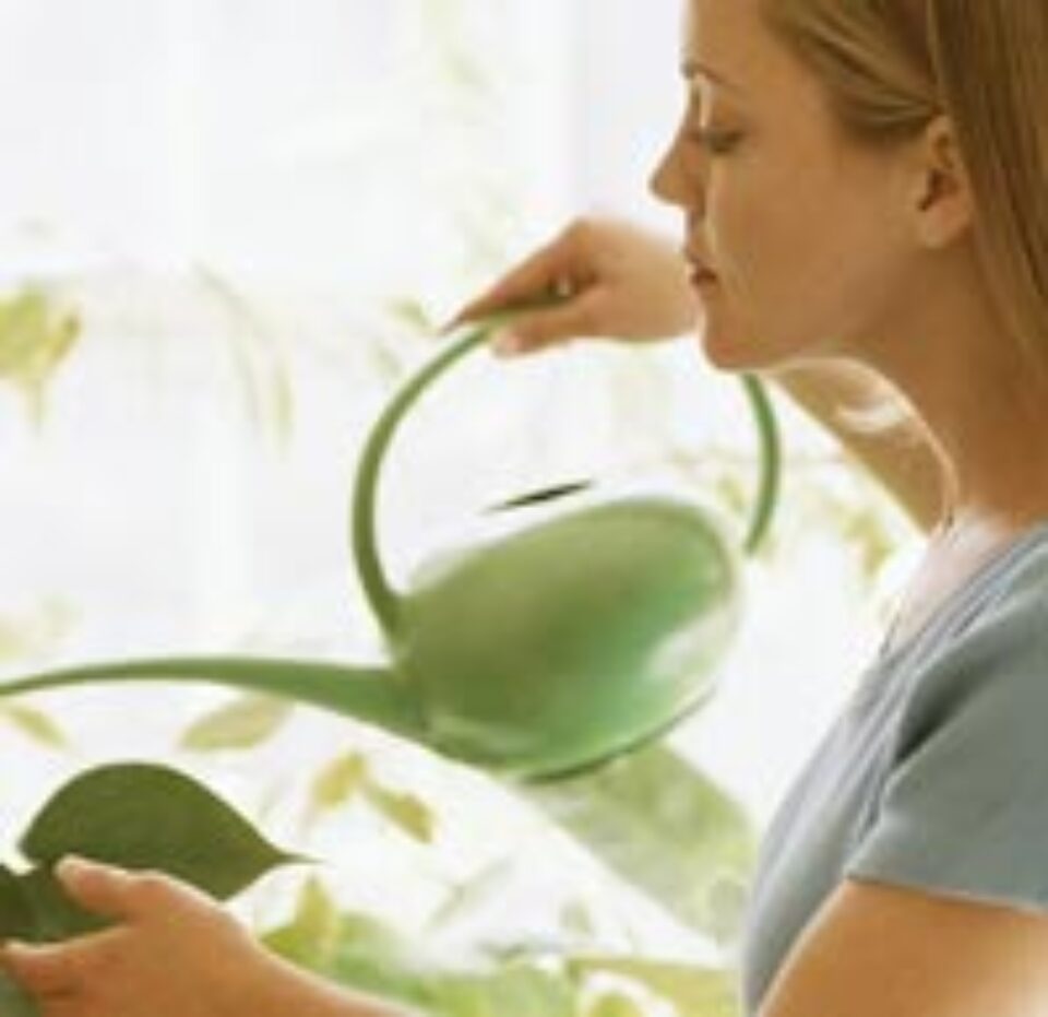 Ești epuizată? Revitalizează-te! Ești epuizată? Revitalizează-te!