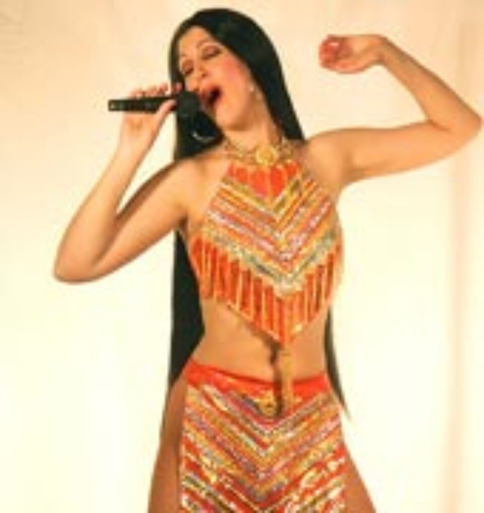 Haine ale cântăreței Cher scoase la licitație în scopuri caritabile