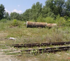 Depozitul de gunoaie al cuscrei