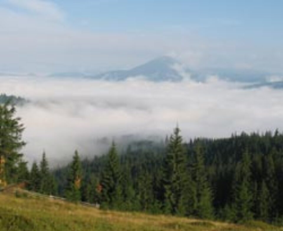 Peisaj de pe platoul de desfasurare a competitiei