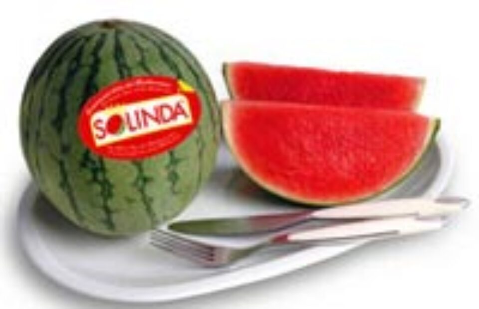 Pepenele verde - fructul perfect pentru zilele toride