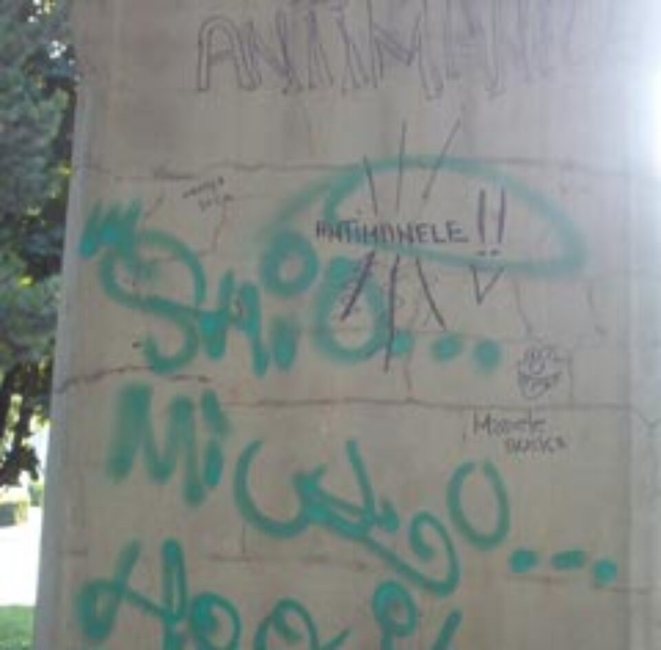 Mâzgălitorii de grafii indigeste Mâzgălitorii de grafii indigeste