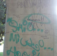 Mâzgălitorii de grafii indigeste