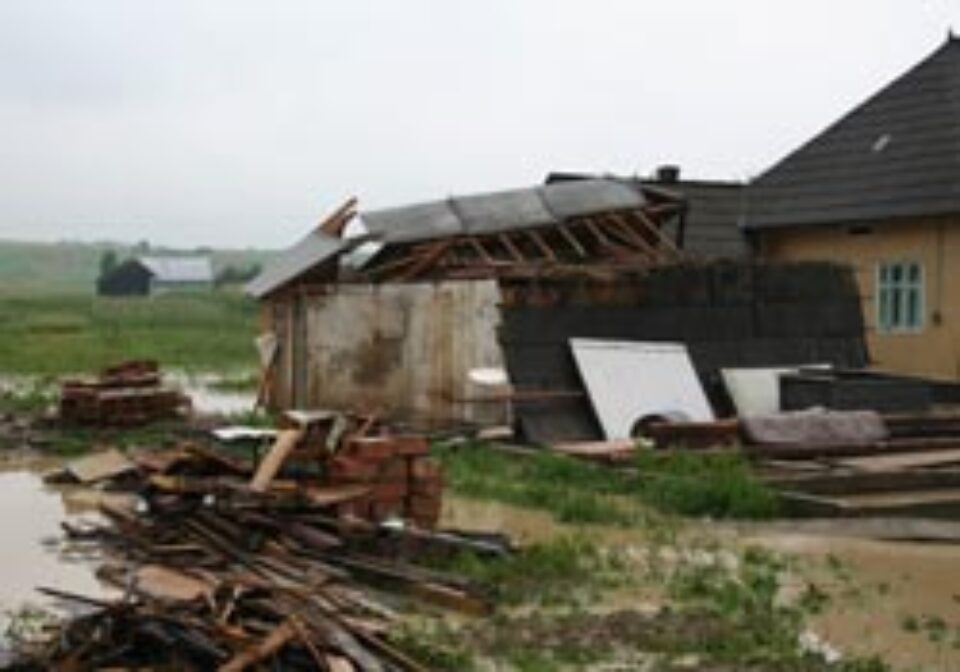 Inundațiile, blestemul satului Arbore