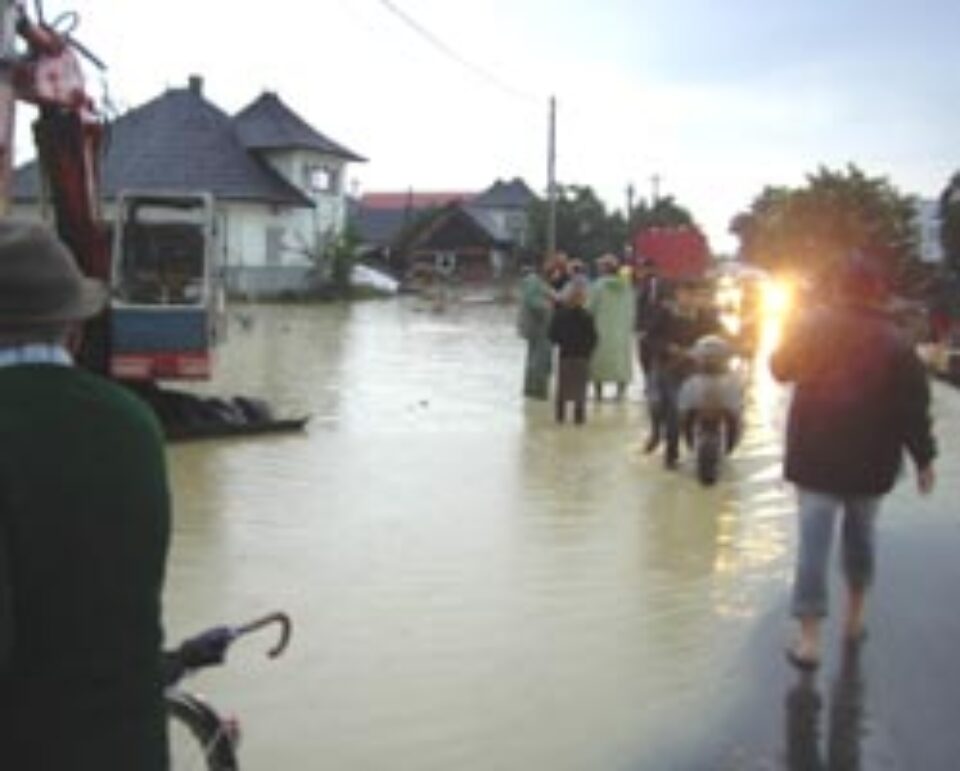 Inundațiile, blestemul satului Arbore