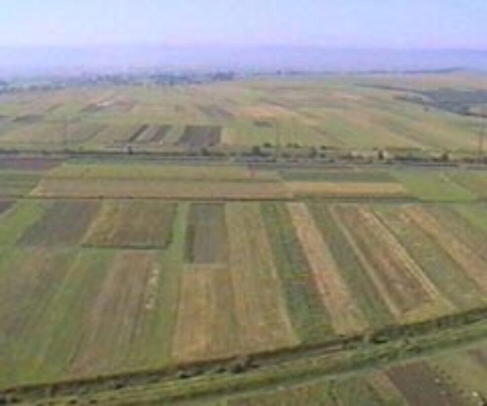 Terenuri agricole transformate în spații pentru construcții, rețetă de succes în Suceava