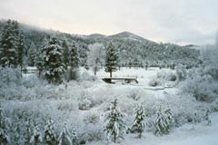 Din presa de altadata