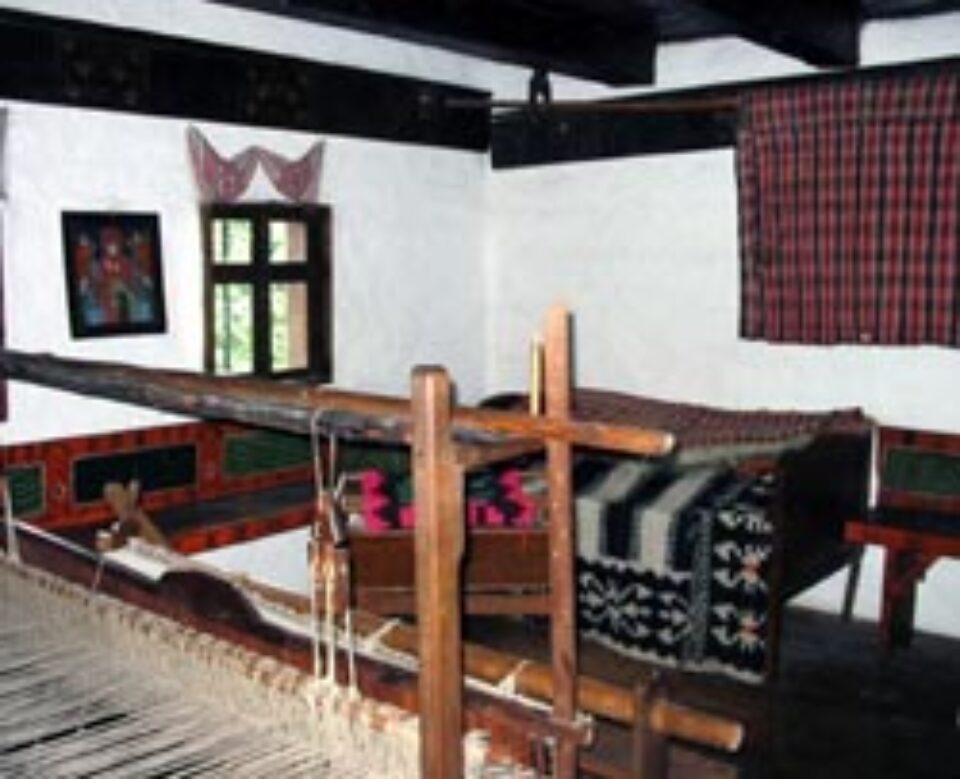 Război de țesut și cazan de făcut rachiu, bunuri interzise celor care primesc venit minim garantat