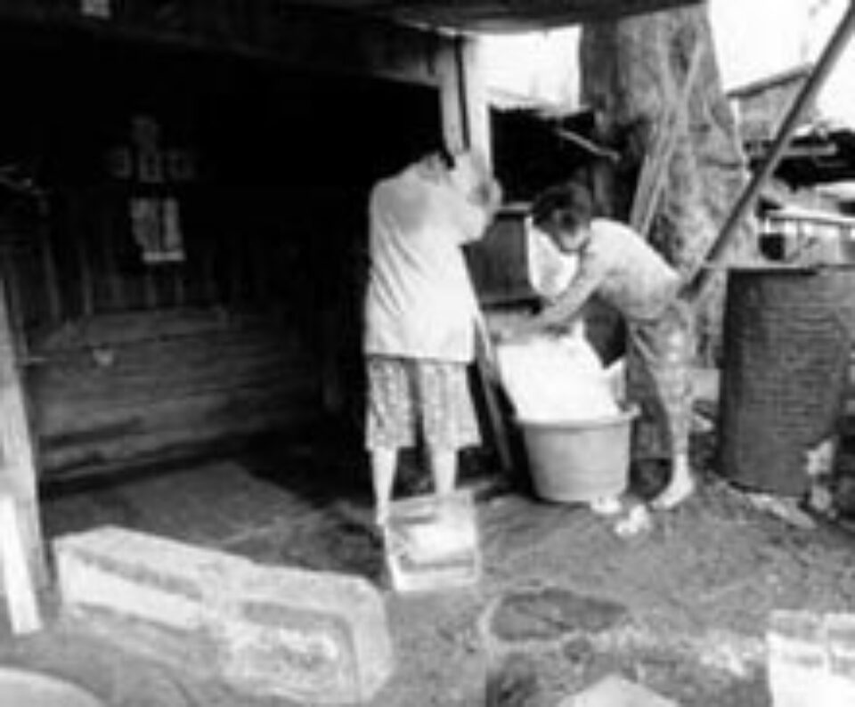 Din presa de altadata Din presa de altadata