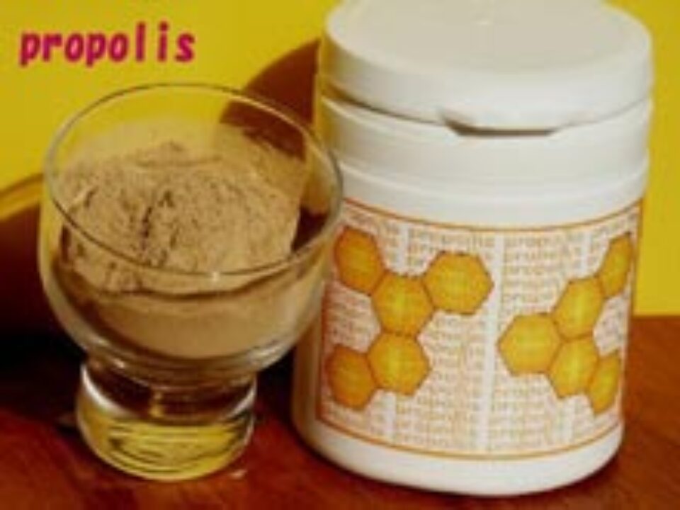 Propolisul Propolisul