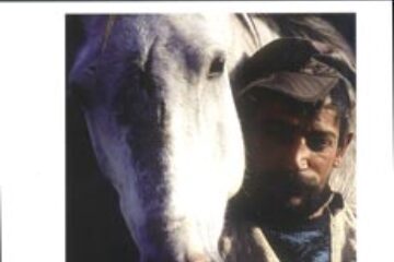 Manifestări de rezonanță internațională la Suceava