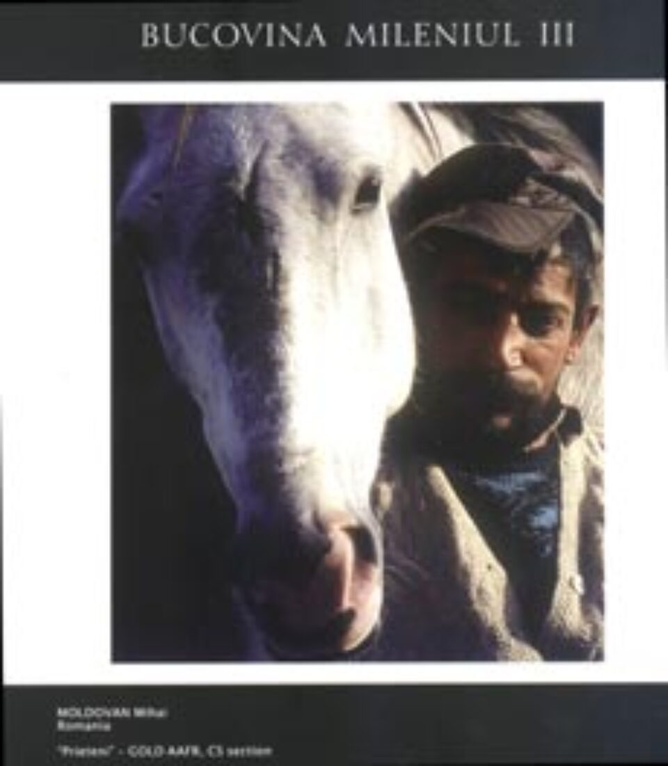 Manifestări de rezonanță internațională la Suceava