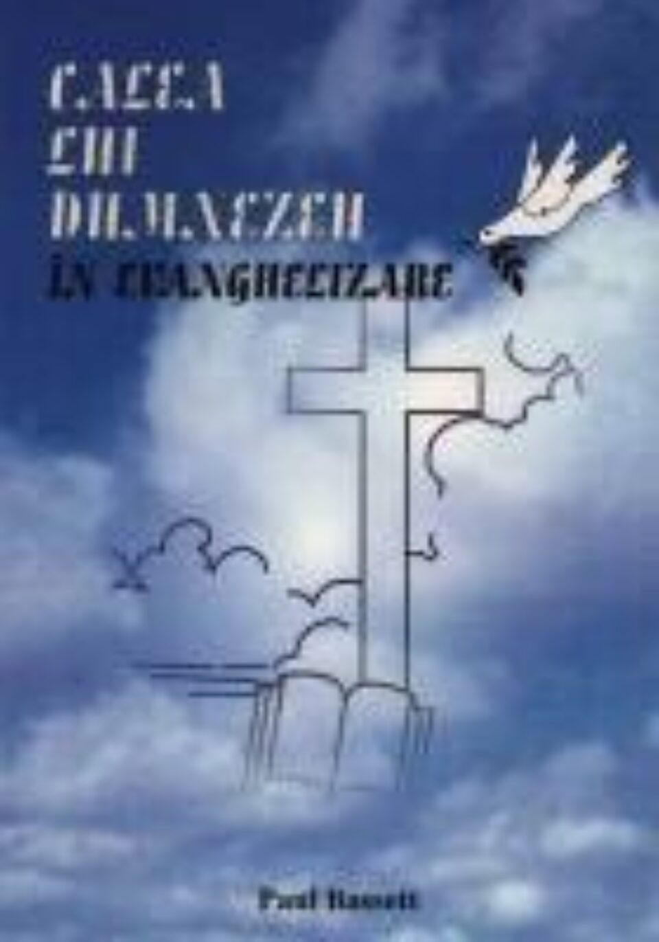 Sensul creației Sensul creației