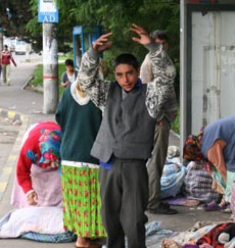 Statia de autobuz, hotel in aer liber pentru nomazi