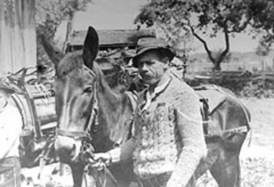 Din presa de altadata Din presa de altadata