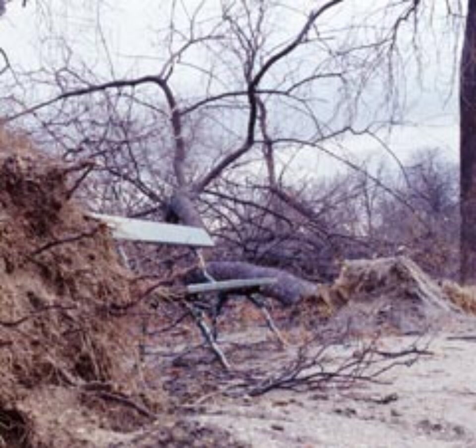 Din presa de altadata Din presa de altadata