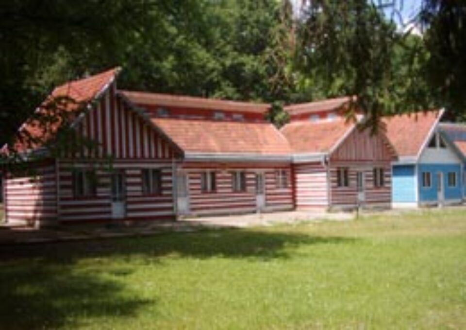 Lotul echipei de handbal, decimat de o toxiinfecție alimentară