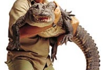 Celebrul "vânător de crocodili" Steve Irwin, ucis de un pește oceanic