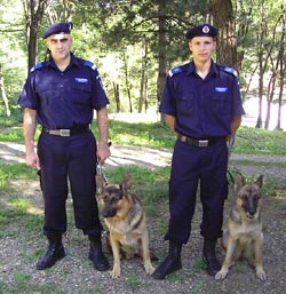 Valina si Vacab, doi dintre jandarmii patrupezi, împreună cu instructorii lor, Marius Teodorovici şi Claudiu Honceriu
