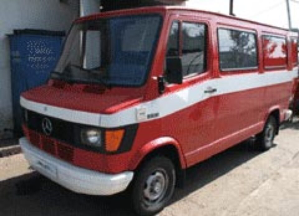 Maidanezii din Suceava vor fi adunați cu o mașină olandeză