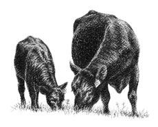 Din presa de altadata