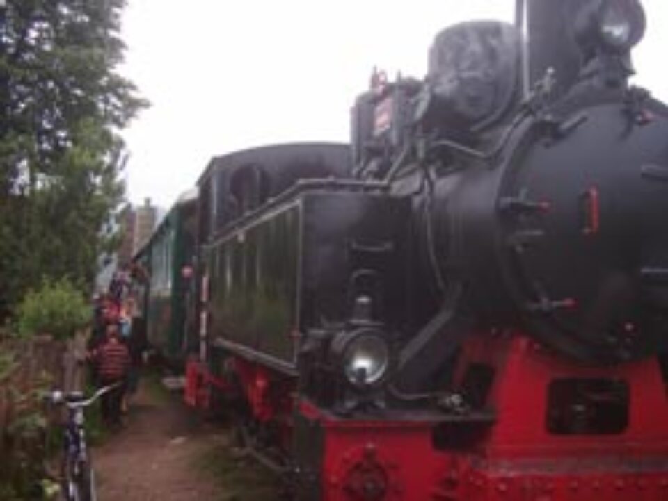 Mocănița de la Moldovița le oferă turiștilor miros de păcură și vederi cu vaci