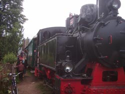 Mocănița de la Moldovița le oferă turiștilor miros de păcură și vederi cu vaci