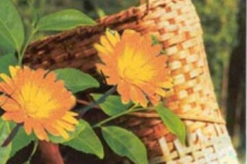 Răsfață-ți simțurile!