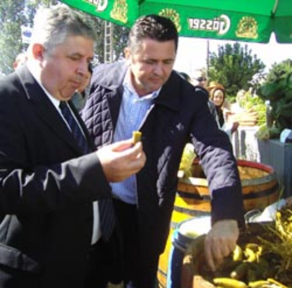 La degustat castraveti murati