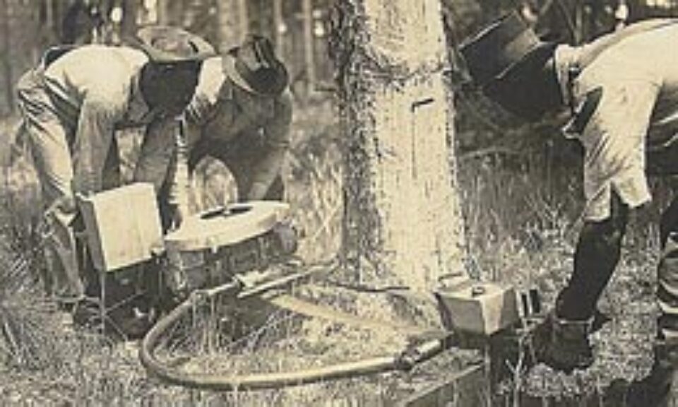 Din presa de altadata Din presa de altadata