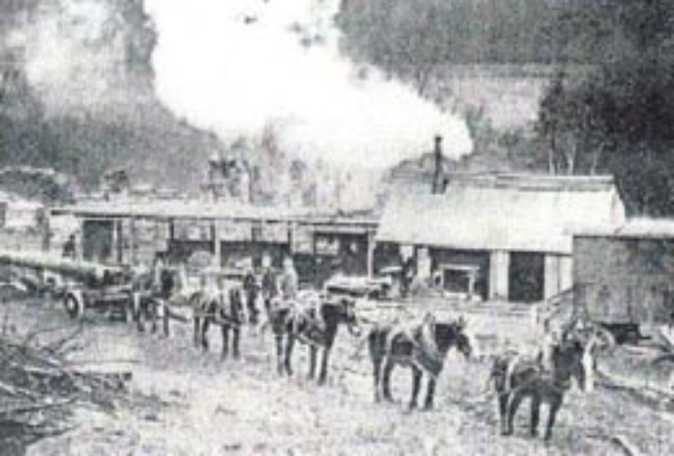 Din presa de altadata