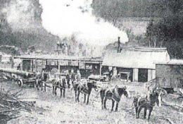 Din presa de altadata