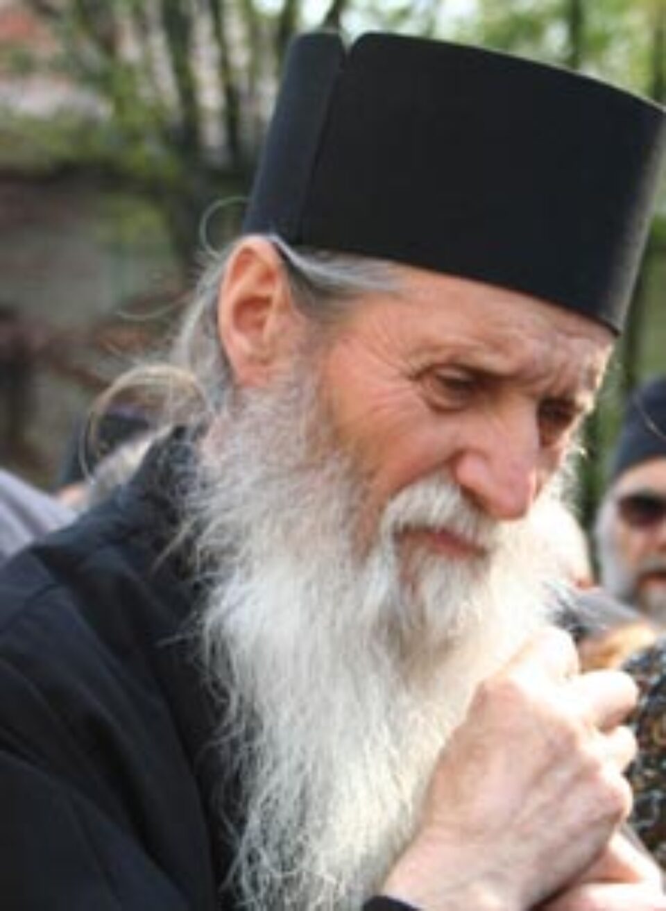 Tăriceanu se va întâlni cu ÎPS Pimen pentru a discuta problema retrocedării pădurii către Biserică