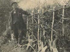 Din presa de altadata