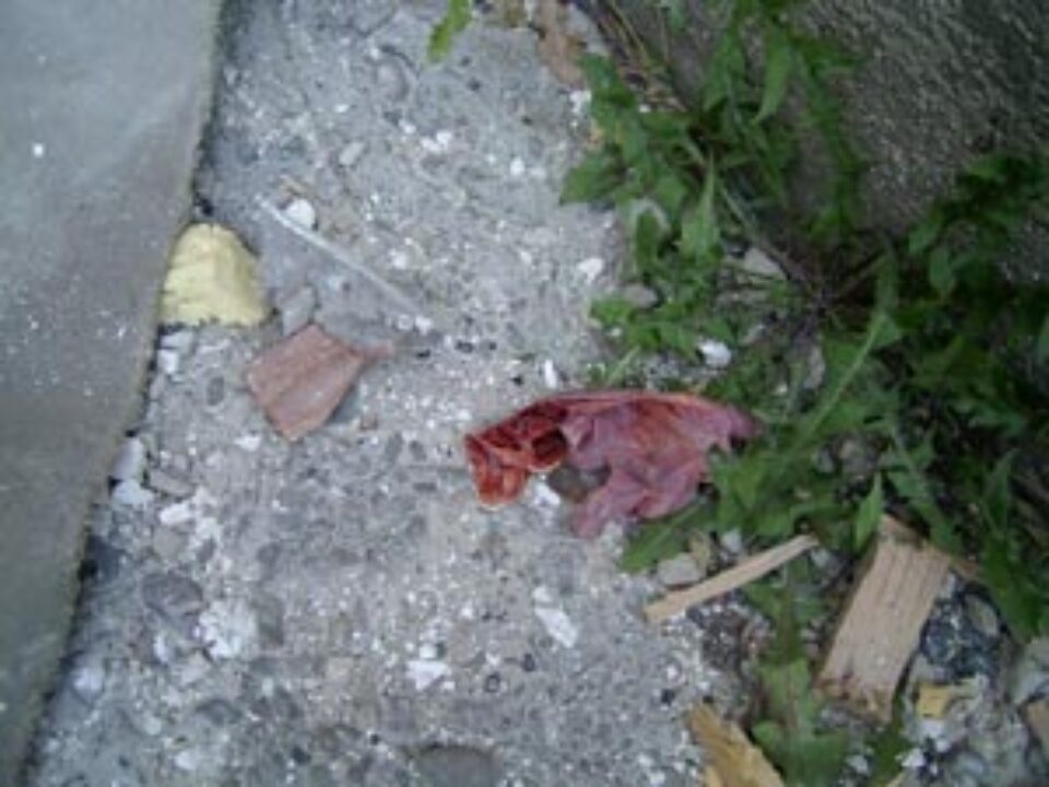 Eprubete și seringi cu sânge de la Spitalul Județean, împrăștiate pe străzile din George Enescu