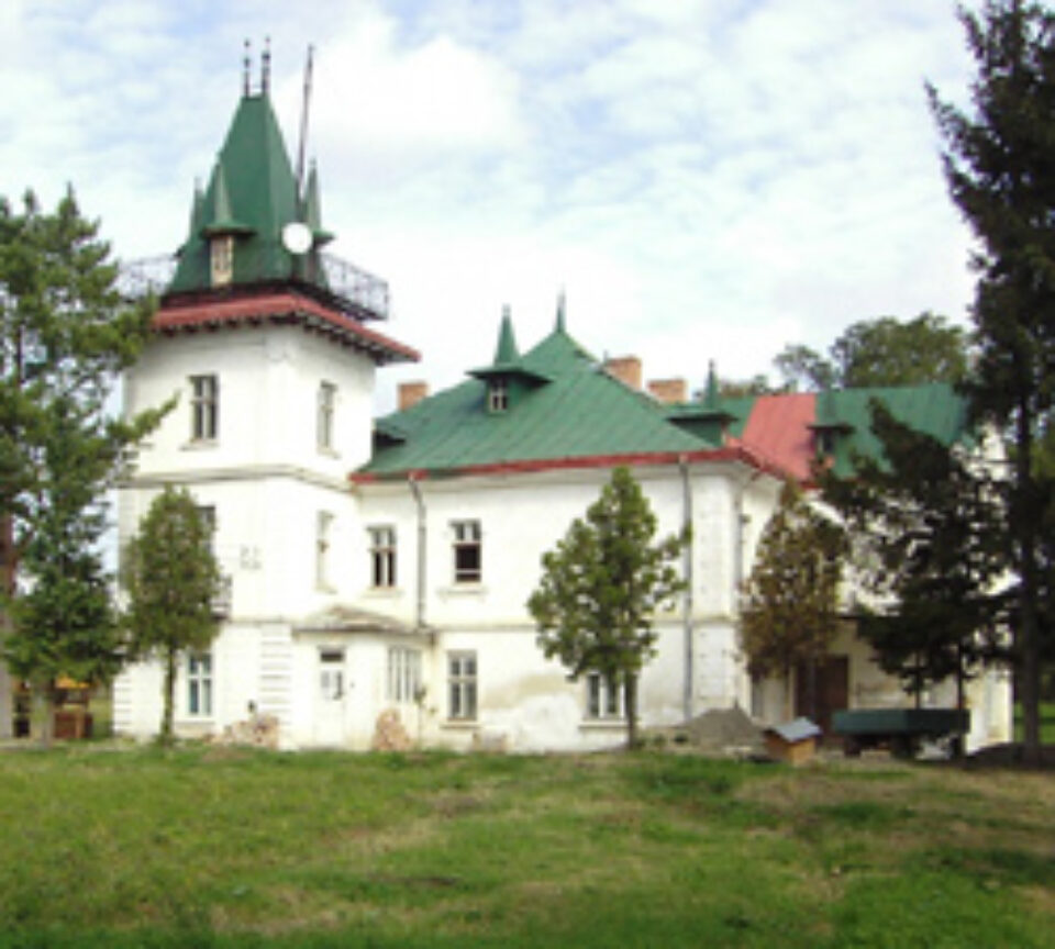 Castelul de la Salcea