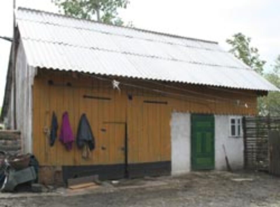 Casa in care au crescut cei doi micuti din Balcauti