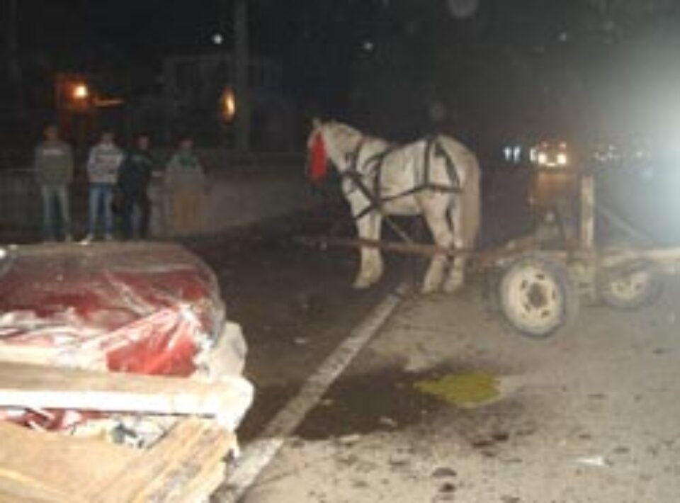 Moarte groaznică la Marginea