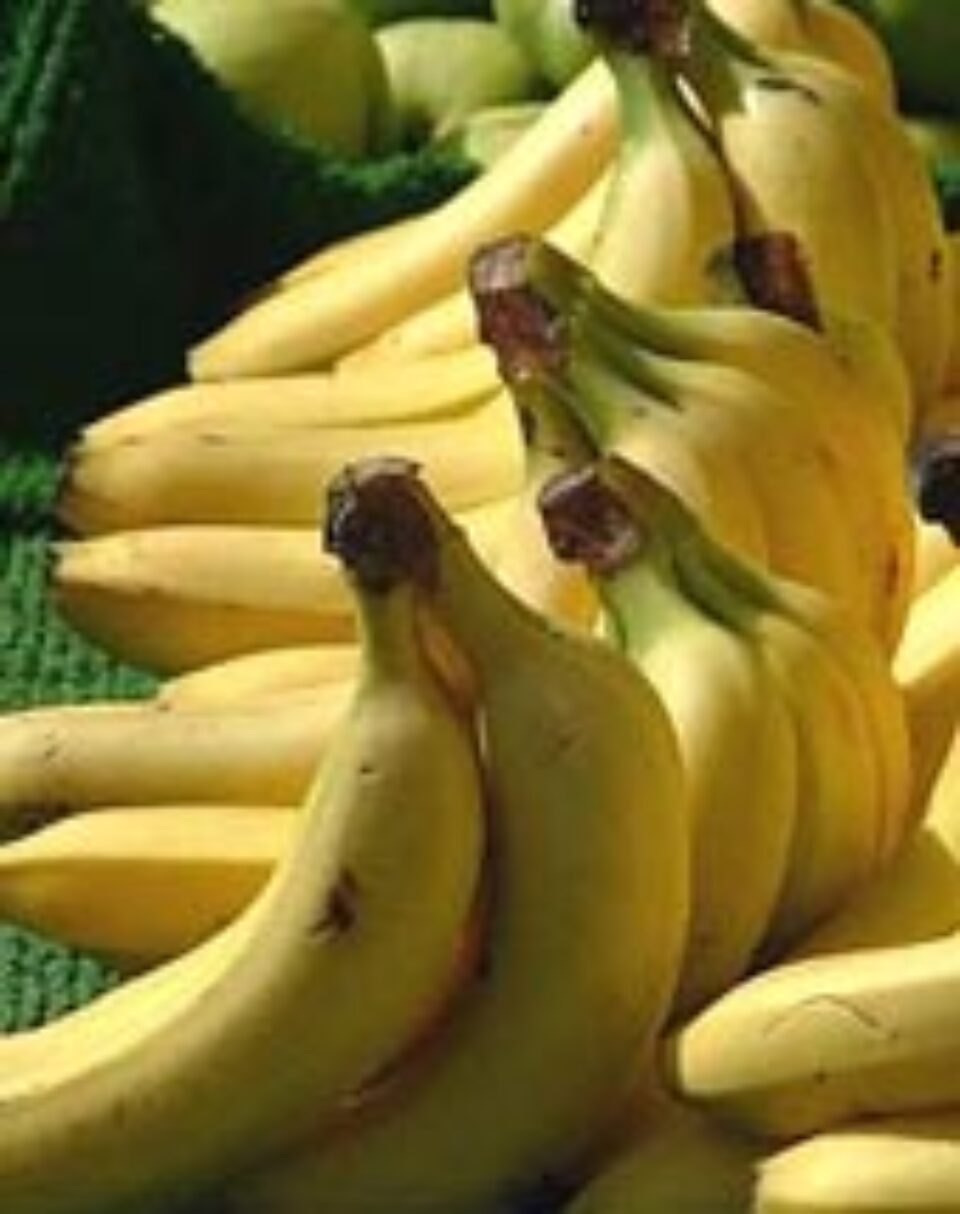 Ghidul fructelor de toamnă