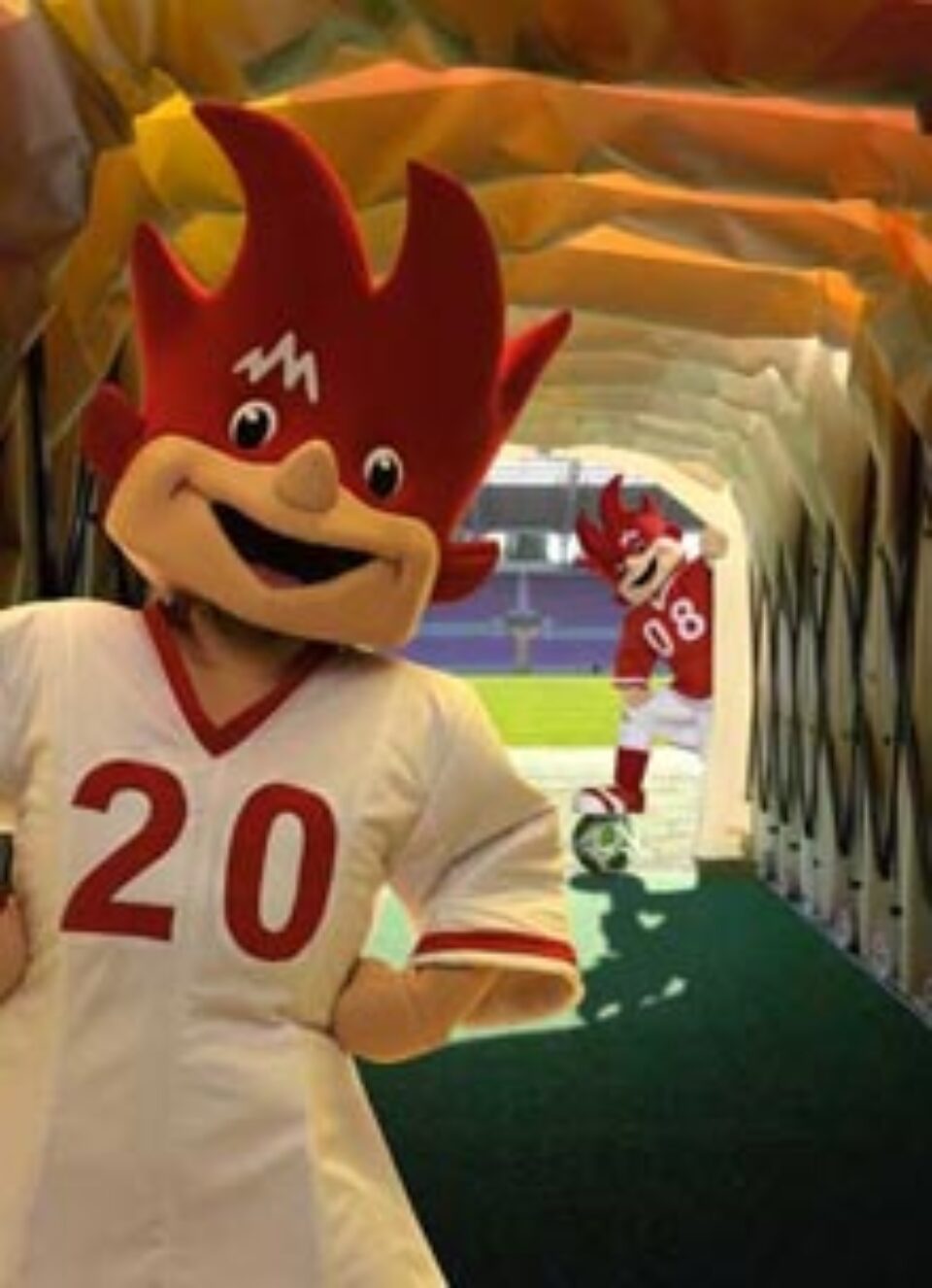 Numele mascotei competiției îl vor da suporterii