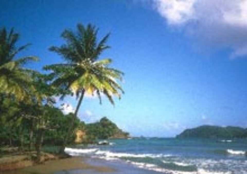 Tenerife - călătorie în inima Insulelor Canare