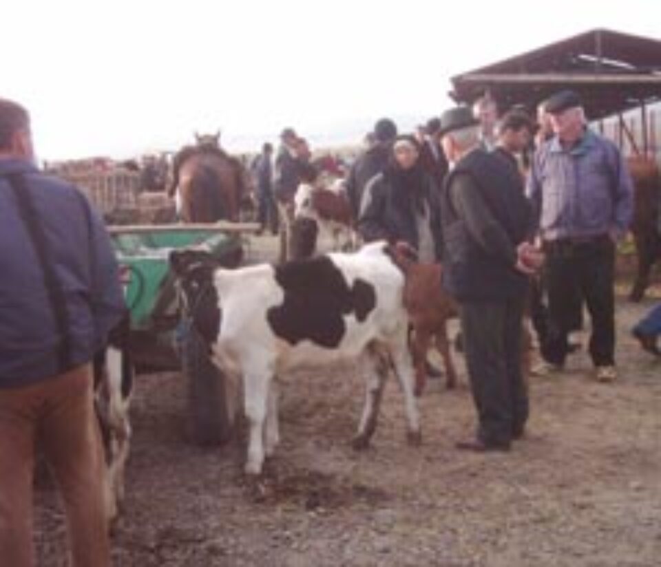 Târgul din Verești, mană cerească pentru cei care știu să negocieze