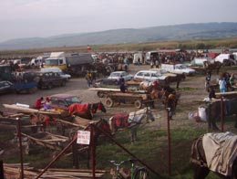 Târgul din Verești, mană cerească pentru cei care știu să negocieze