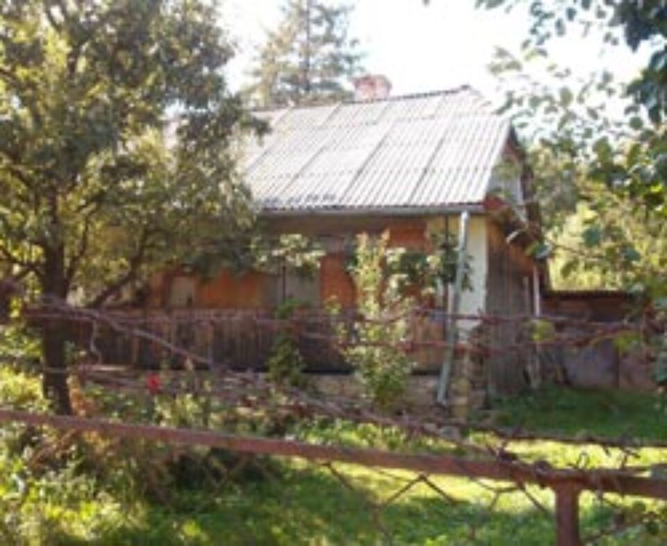 Grădina cu bălării