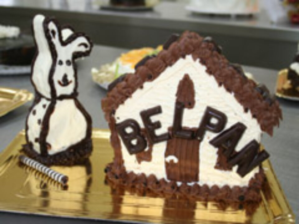 Investiții de aproximativ 120.000 de Euro la firma care a pus fotografiile a mii de suceveni pe torturi aniversare