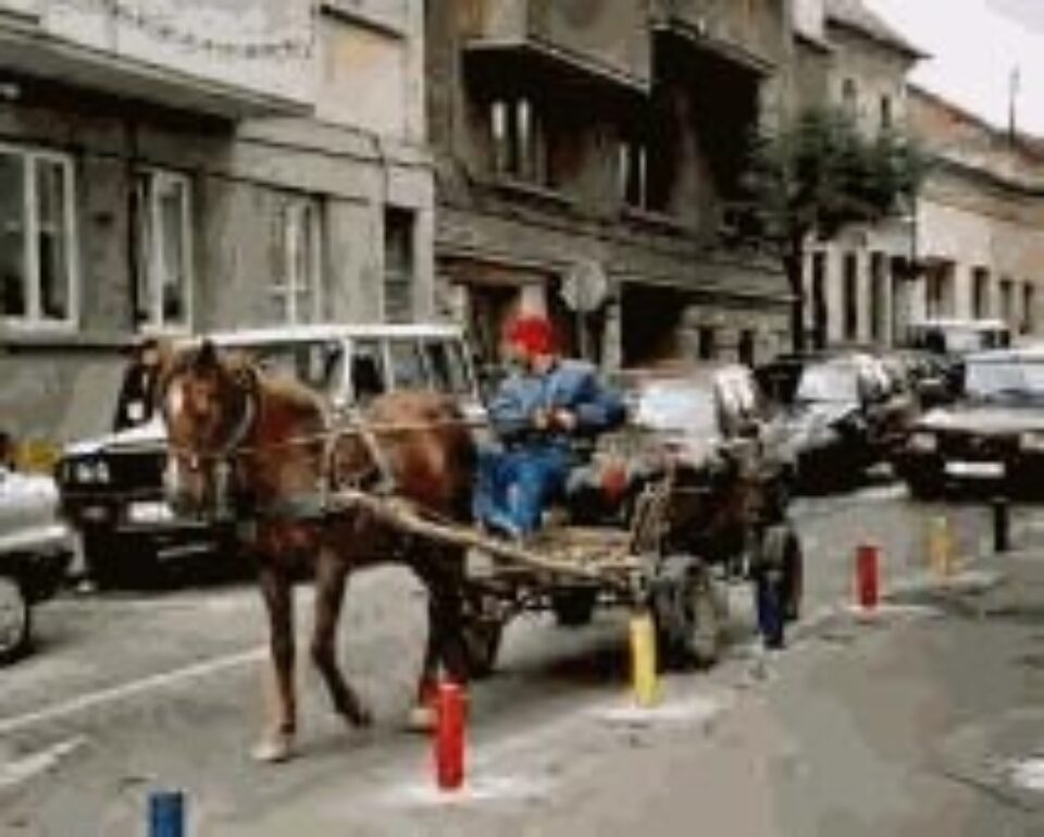 Perioada de popularizare a orarului pentru căruțe se apropie de final