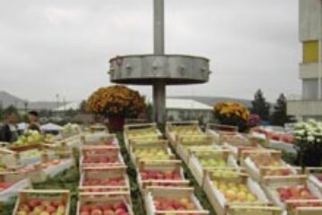 Mărul concordiei la Fălticeni