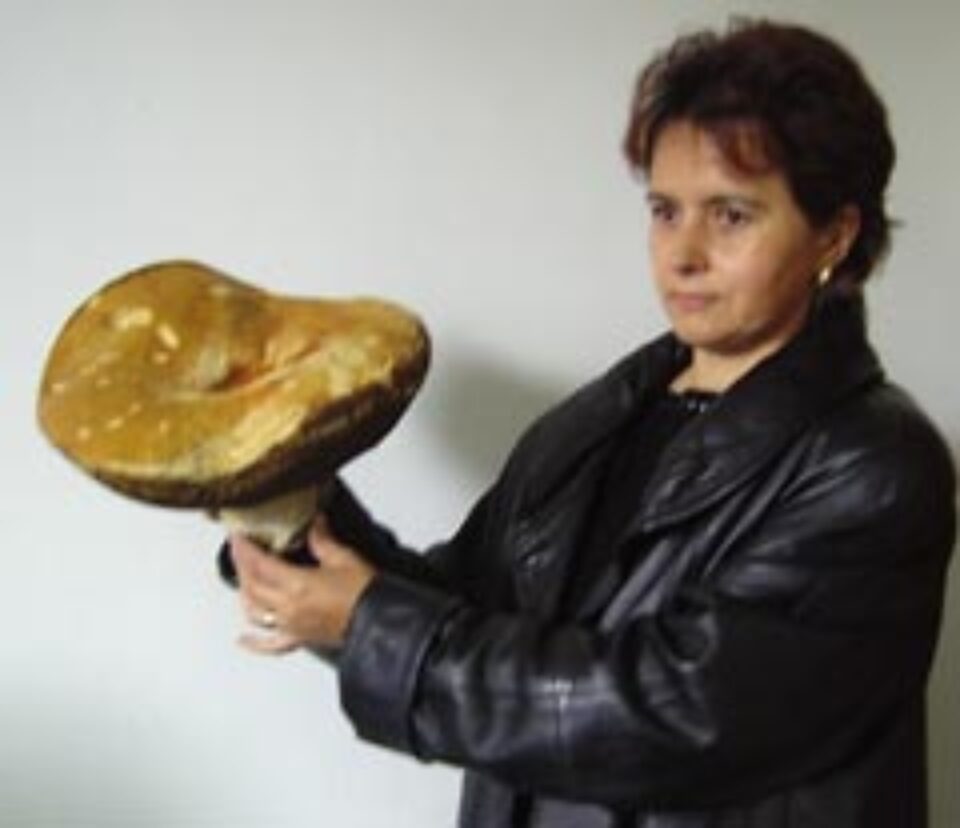 Carmen Năsăudeanu şi hribul uriaş