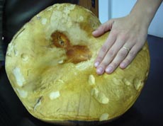 Hrib uriaș găsit la Palma