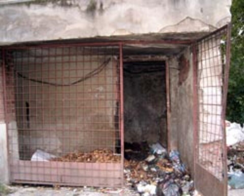 Boschetar ars de viu într-un buncăr de gunoaie din Suceava Boschetar ars de viu într-un buncăr de gunoaie din Suceava